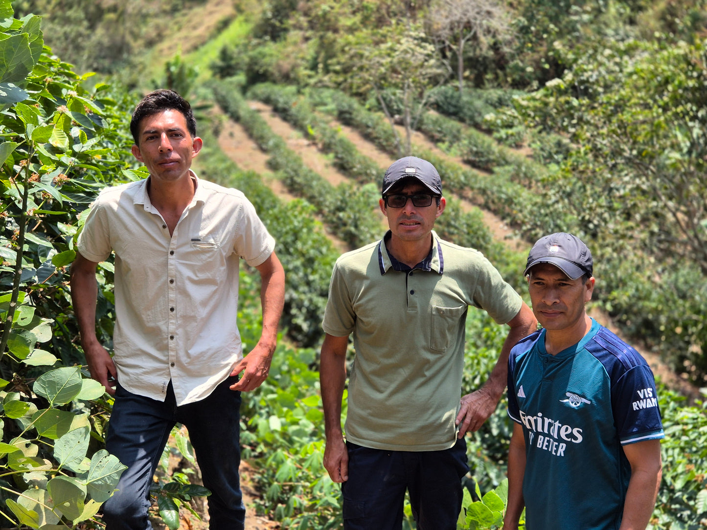 Gesha-ish • Peru • Natural Process • Hermanos Guerreros