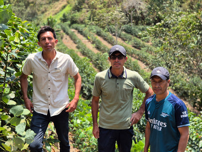 Gesha-ish • Peru • Natural Process • Hermanos Guerreros