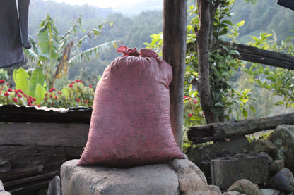 Honduras coffee farm
