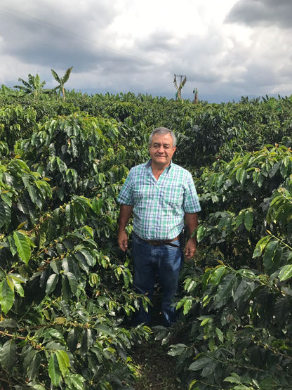 Jairo Arcila, a coffee producer from Colombia, standing among coffee plants in a coffee farm